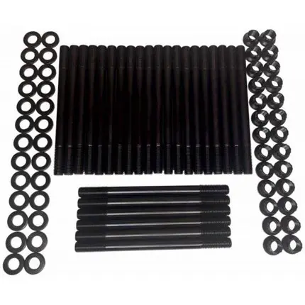 thoroughbred-fhsc9821-1